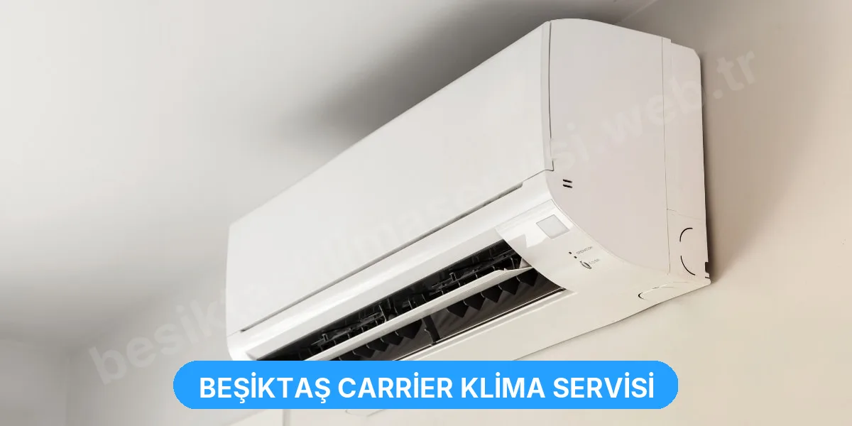 Beşiktaş Carrier Klima Servisi